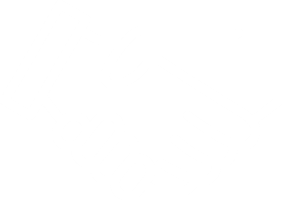 hands
